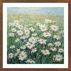 White chrysanthemum - CHR 004