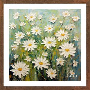 White chrysanthemum - CHR 006