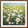 White chrysanthemum - CHR 007