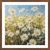 White chrysanthemum - CHR 009