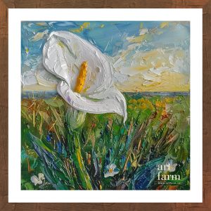 Calla lily - CAL 002