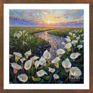 Calla lily - CAL 005