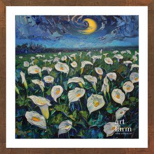 Calla lily - CAL 007