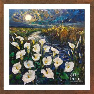 Calla lily - CAL 011