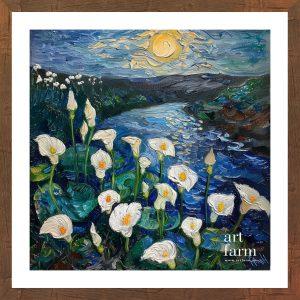 Calla lily - CAL 012