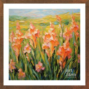 Gladiolus - GLA 004