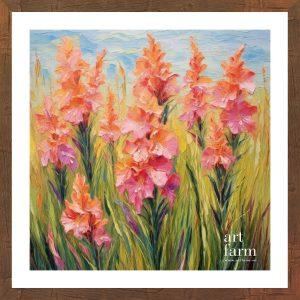 Gladiolus - GLA 005