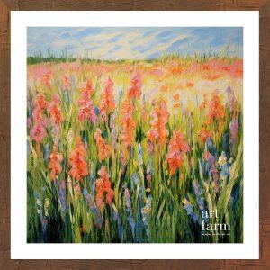 Gladiolus - GLA 006
