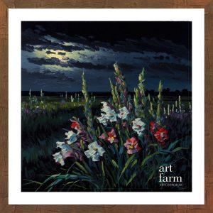 Gladiolus - GLA 010