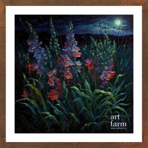 Gladiolus - GLA 012