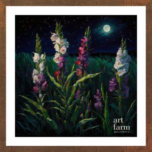 Gladiolus - GLA 013