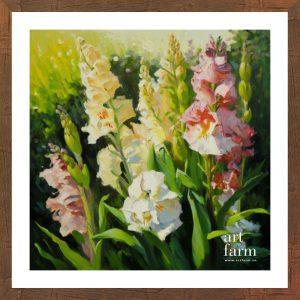 Gladiolus - GLA 015