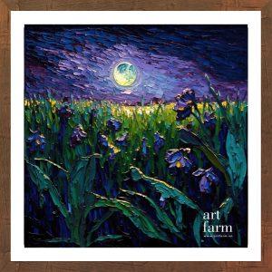 Iris flower - IRI 002