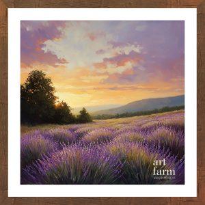 Lavender grassland - LAV 002