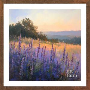 Lavender grassland - LAV 004