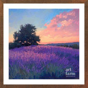 Lavender grassland - LAV 005