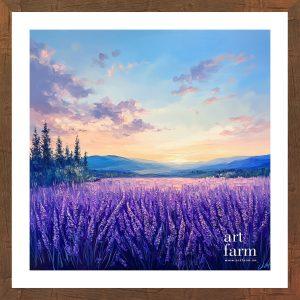 Lavender grassland - LAV 006