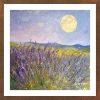 Lavender grassland - LAV 007