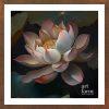 Lotus - LOT 014