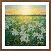 Madonna Lily - MAD 001