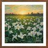 Madonna Lily - MAD 003