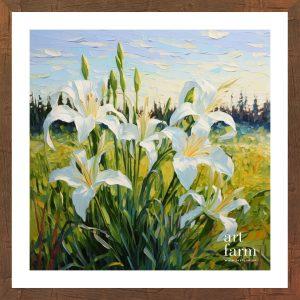 Madonna Lily - MAD 020