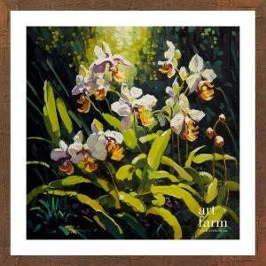 Orchid - ORC 009