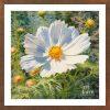 Sulfur cosmos flower - SUL 021