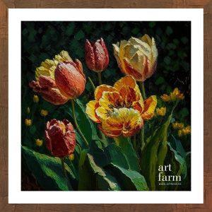 Tulips - TUL 003