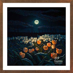 Tulips - TUL 005