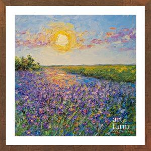 Violet prairie - VIO 003