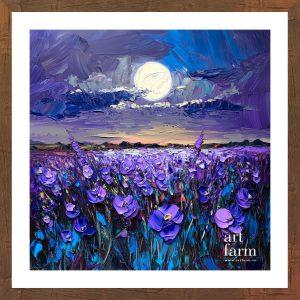 Violet prairie - VIO 013