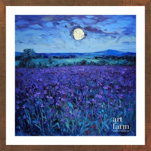 Violet prairie - VIO 016