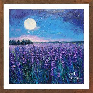 Violet prairie - VIO 018