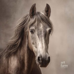 Ngựa - Photorealistic-PHO-05