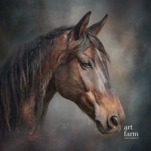 Ngựa - Photorealistic-PHO-06