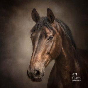 Ngựa - Photorealistic-PHO-08