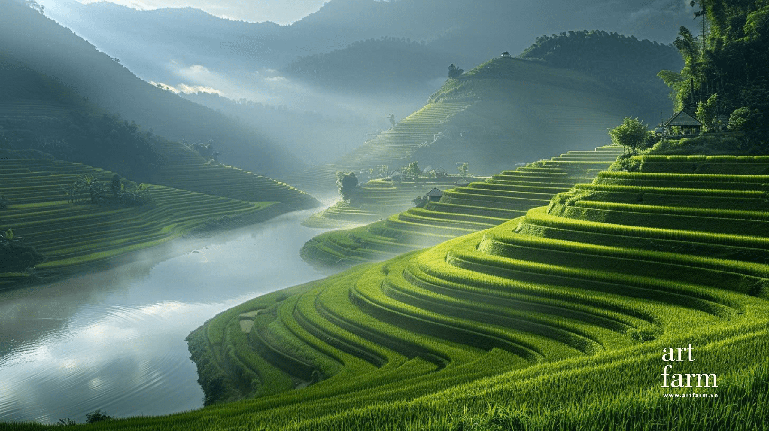 Ruộng bậc thang - ấn tượng - 11