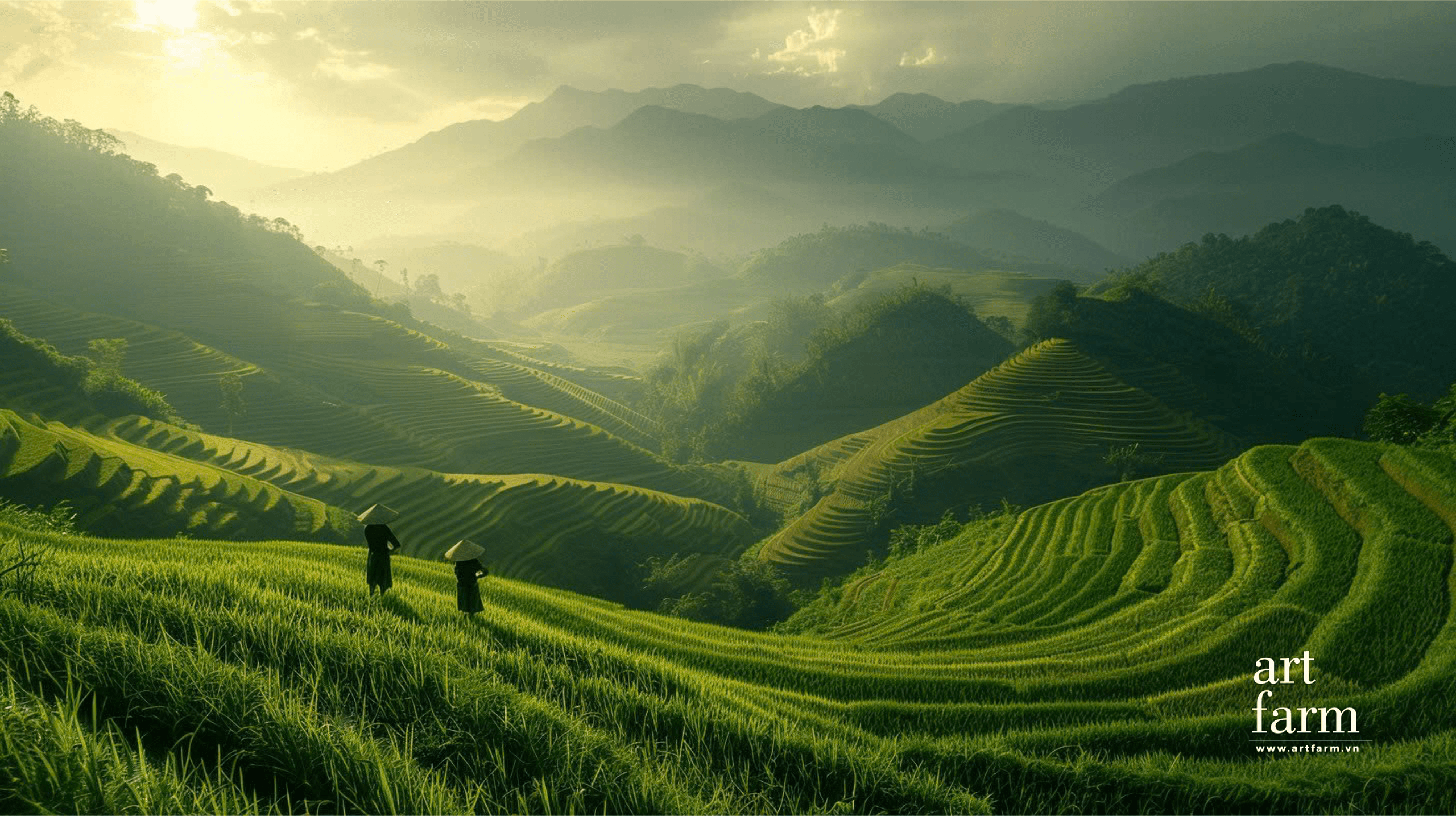 Ruộng bậc thang - ấn tượng - 07