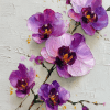 Orchids - 04