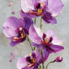 Orchids - 05