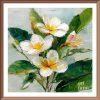 FRANGIPANI - 02