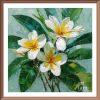 FRANGIPANI - 03